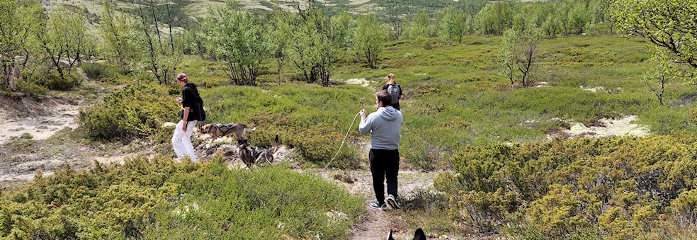 Klubbdugnad: Sokkeplukking